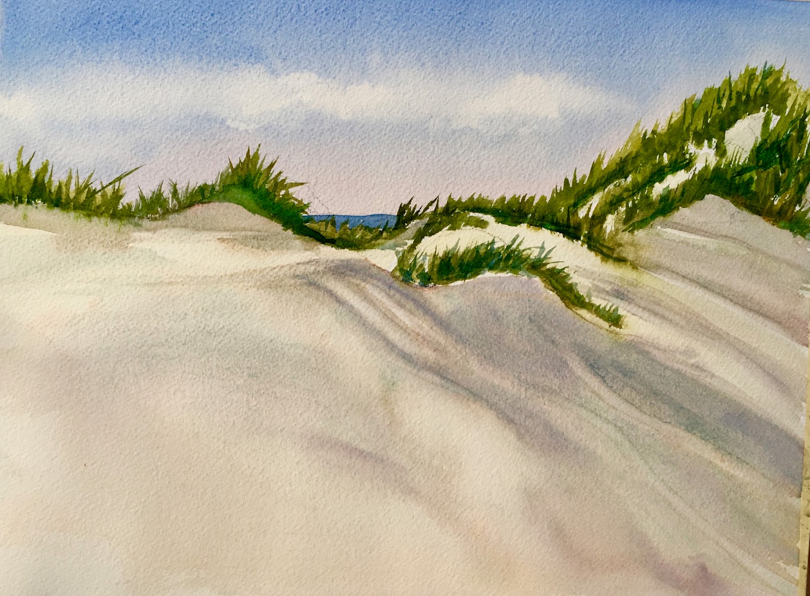 A Brush with Color Cape Cod Sand Dunes
