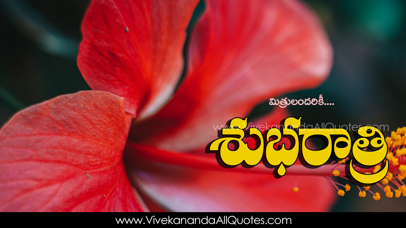 nocturnal meaning in telugu nocturnal meaning in telugu
