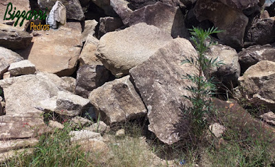 Pedra para cascata de pedra na piscina, tipo pedra moledo.