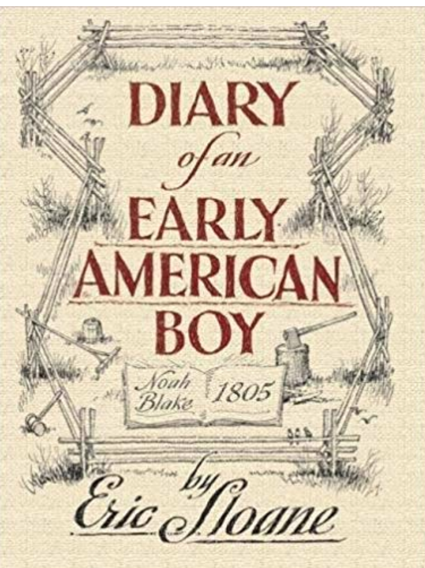 Boy s books. Early American. Американский дневник. Книга дневник мальчика американца. Любимое время года American boy.