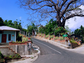 Roads And The Big Old Tree Entering The Cemetery Of Patemon Village North Bali