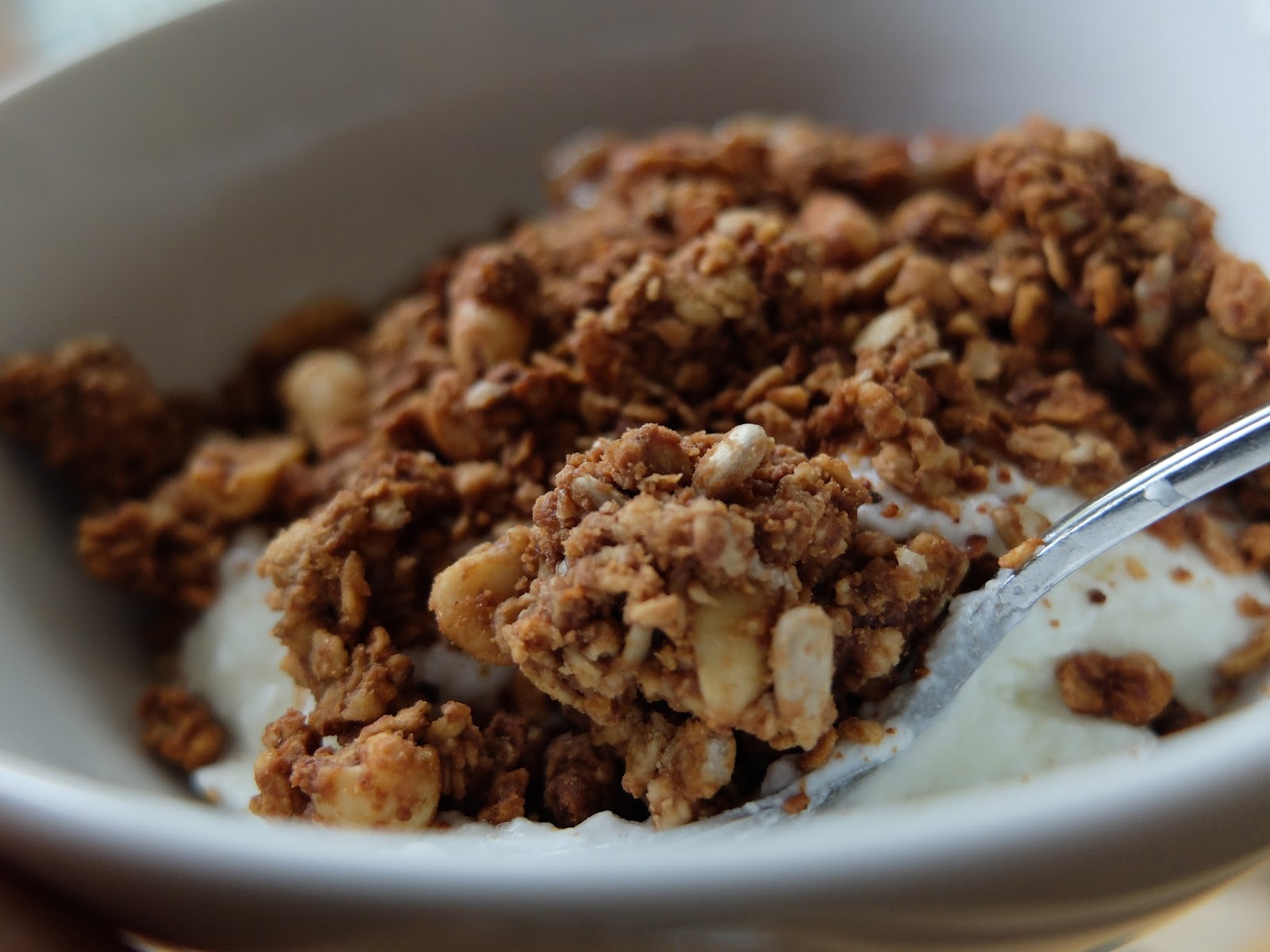 Honey & Ricotta David Lebovitz Chocolate Chip and Peanut Butter Granola