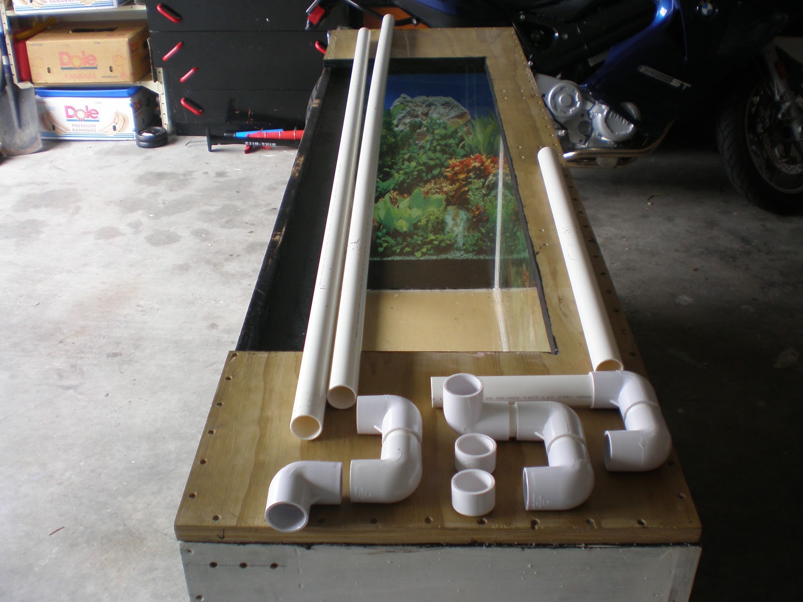 DIY Plywood Aquarium DIY Plywood Aquarium