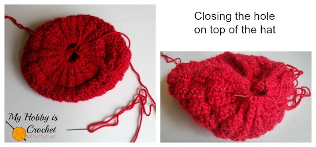 Sparkle Ruby Hat - Free Crochet Pattern 
