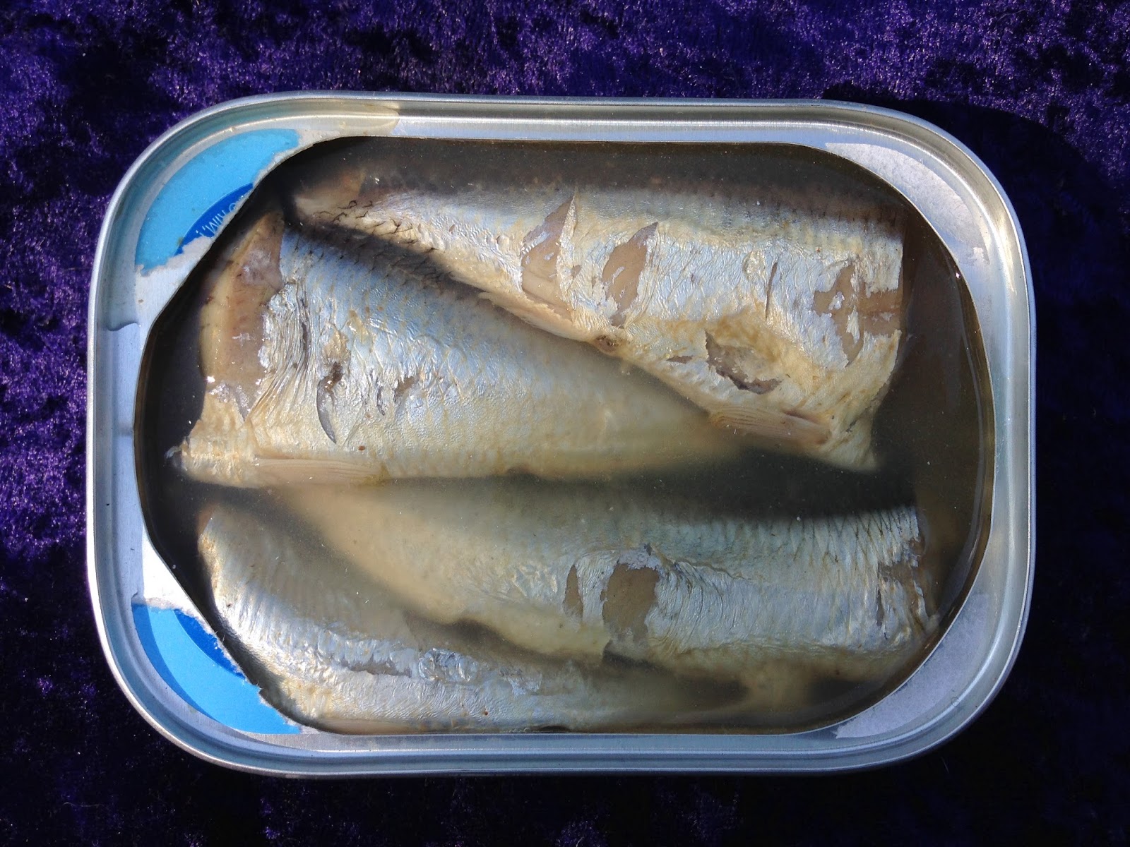 Northern Catch Sardines In Spring Water Nutrition Runners High Nutrition