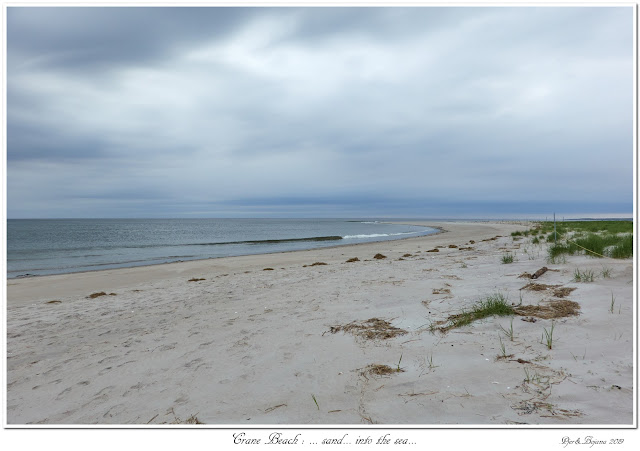Crane Beach: ... sand... into the sea...