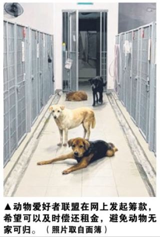 新聞剪輯 巴西立 面臨關閉動物或無家可歸 動物收容所負責人募款 14 06 19
