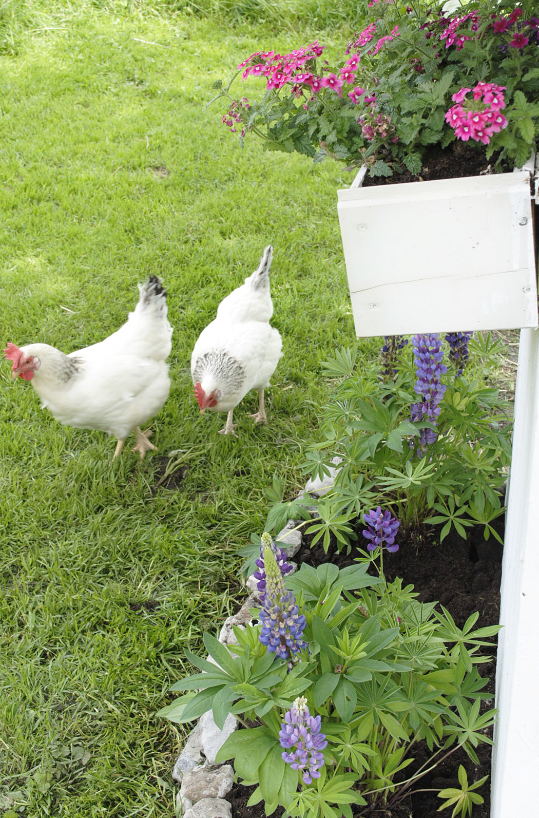 Deko Und Diy Blog Kreative Deko Ideen Fur Ein Schones Zuhause