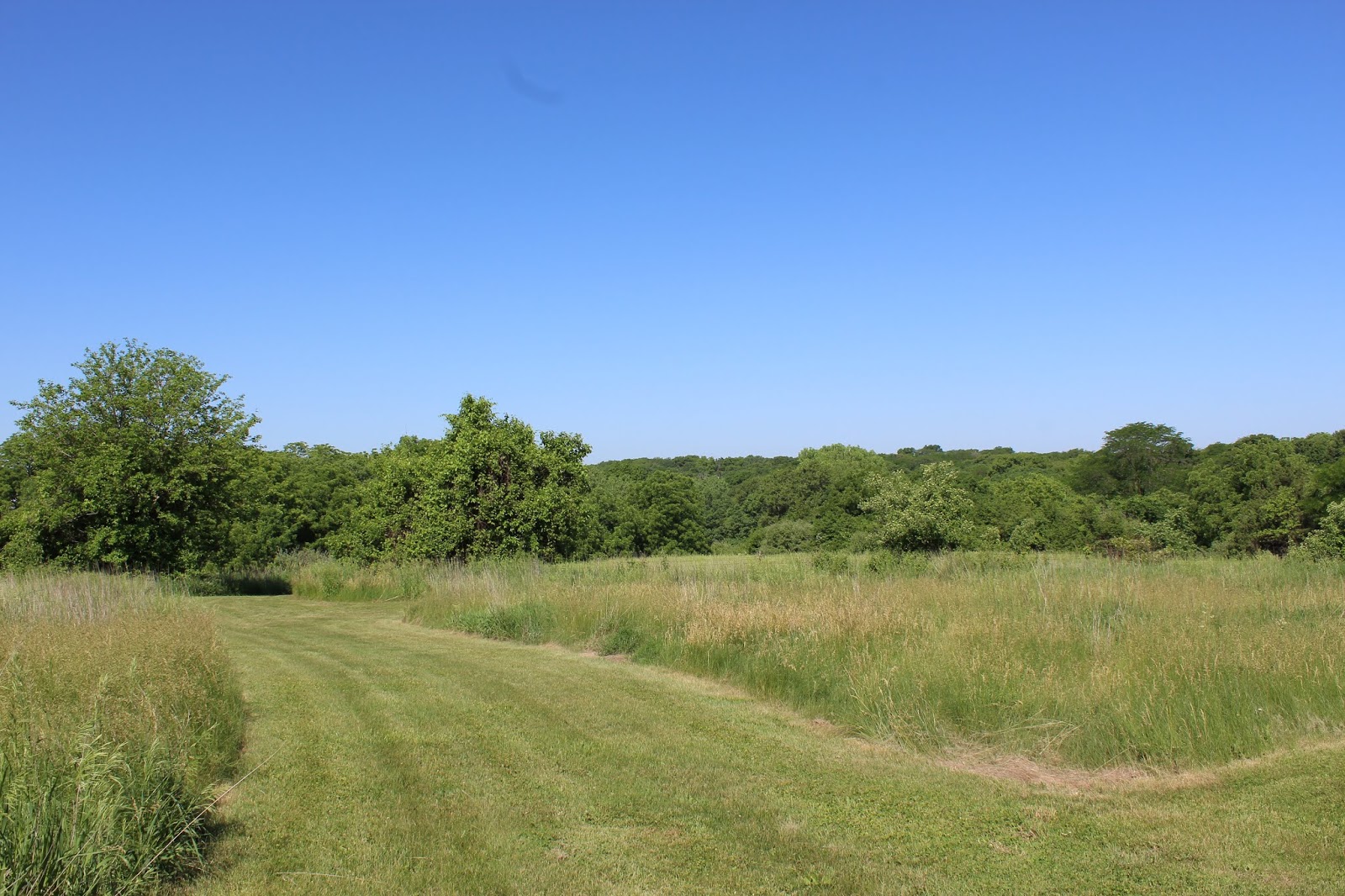 The History of Yellow Banks Park