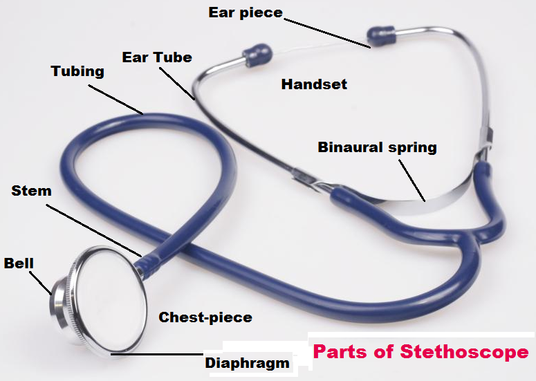 Parts of Stethoscope And Their Functions