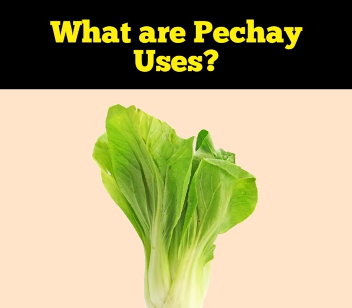 thesis study about pechay