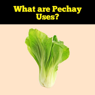What are Pechay Uses