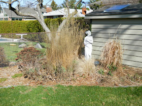 Etobicoke Toronto spring garden cleanup before by Paul Jung Gardening Services Inc