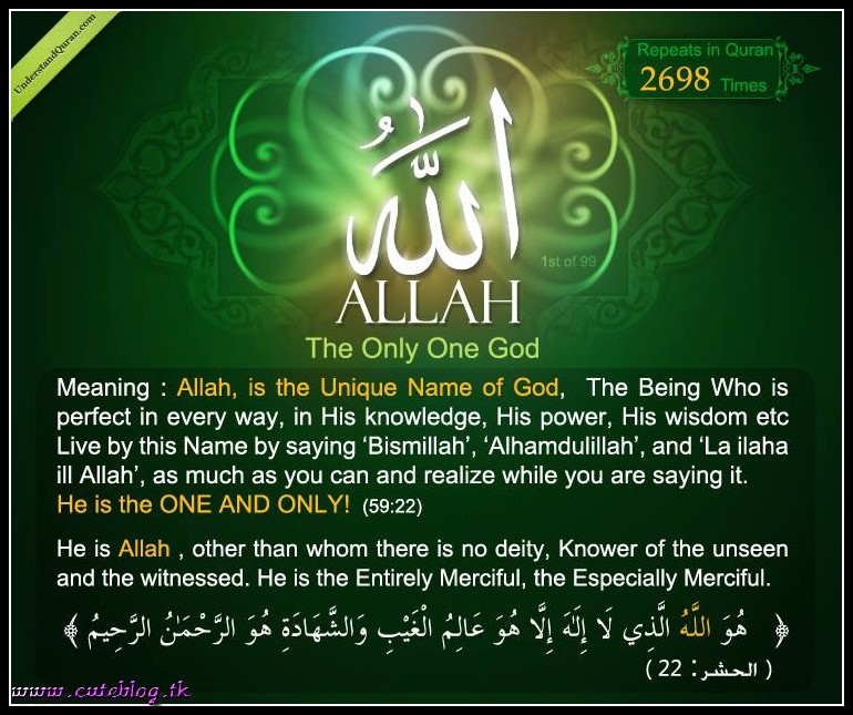 My Image 23