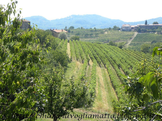 la toscana slovena si chiama brda....