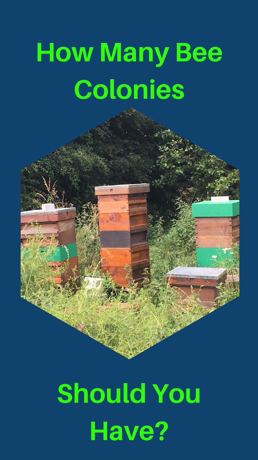 Woodside Apiary How Many Bee Hives Should You Have?