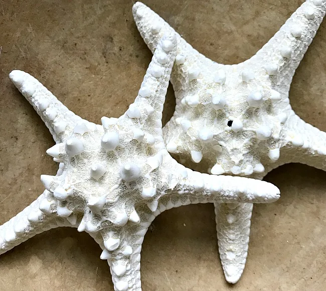 DIY summer starfish projects