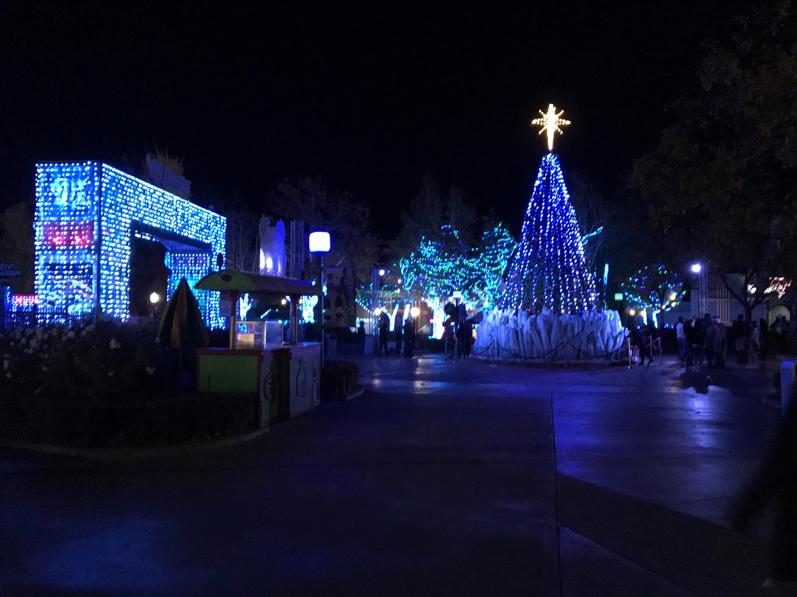 Romance Under the Moonlight Christmas in Southern California christmas