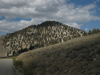 White Mountain, near the Schulman Grove Visitor Center, Ancient Bristlecone Pine Forest, Eastern Sierras, California