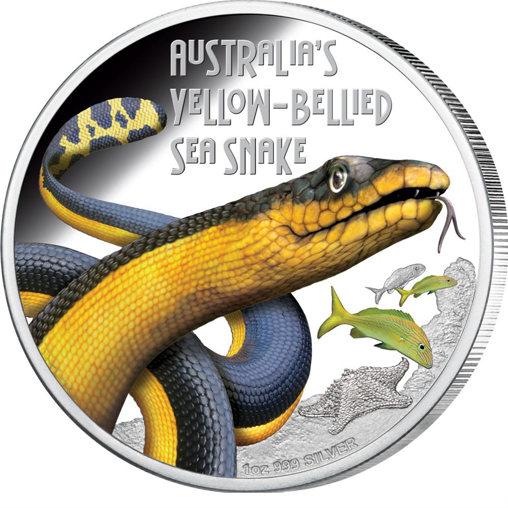Australia Silver: Deadly and Dangerous – Yellow-Bellied ...