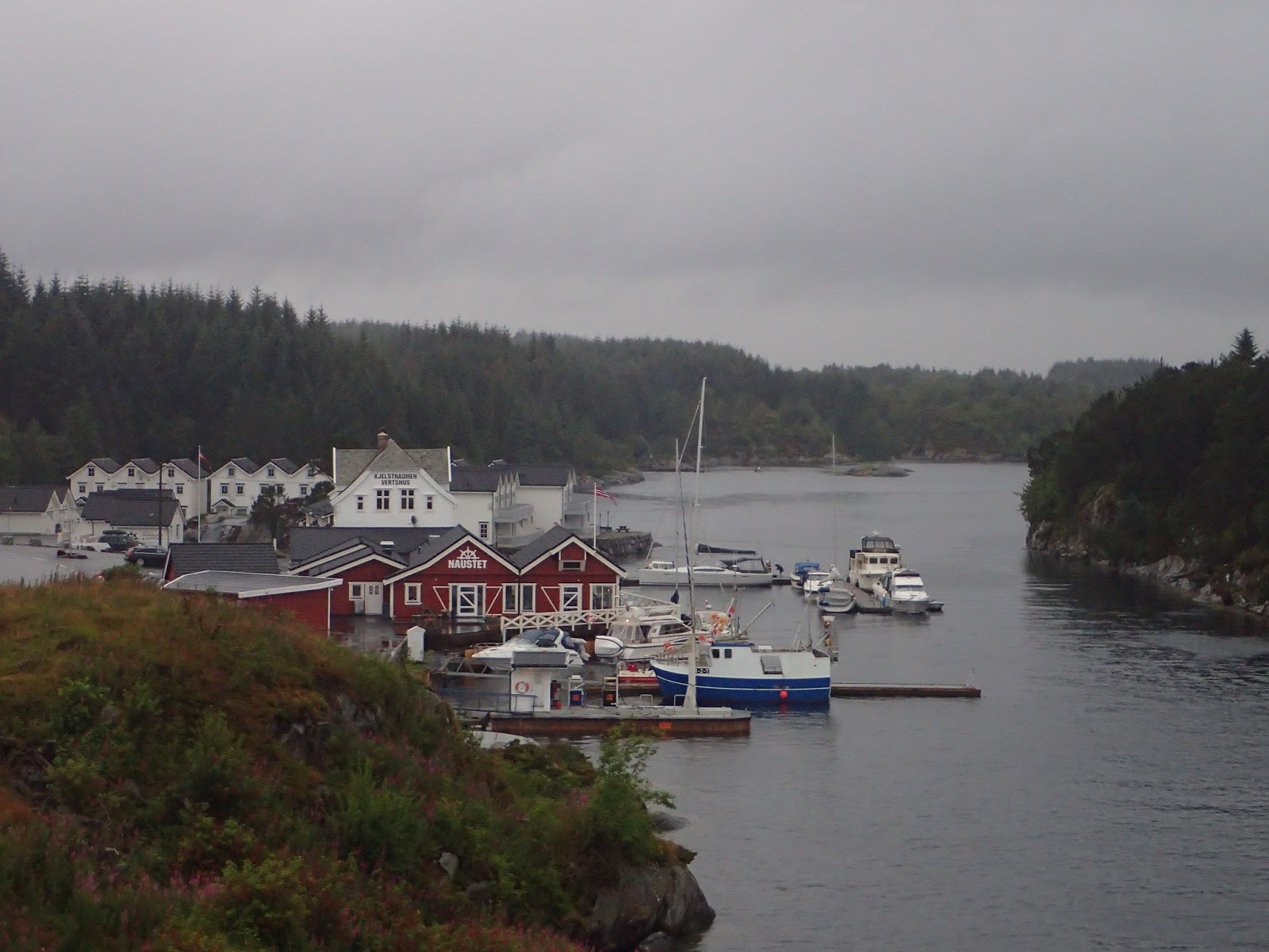 P7280019.JPG
