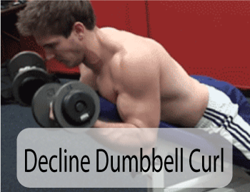 Decline Dumbbell Curl