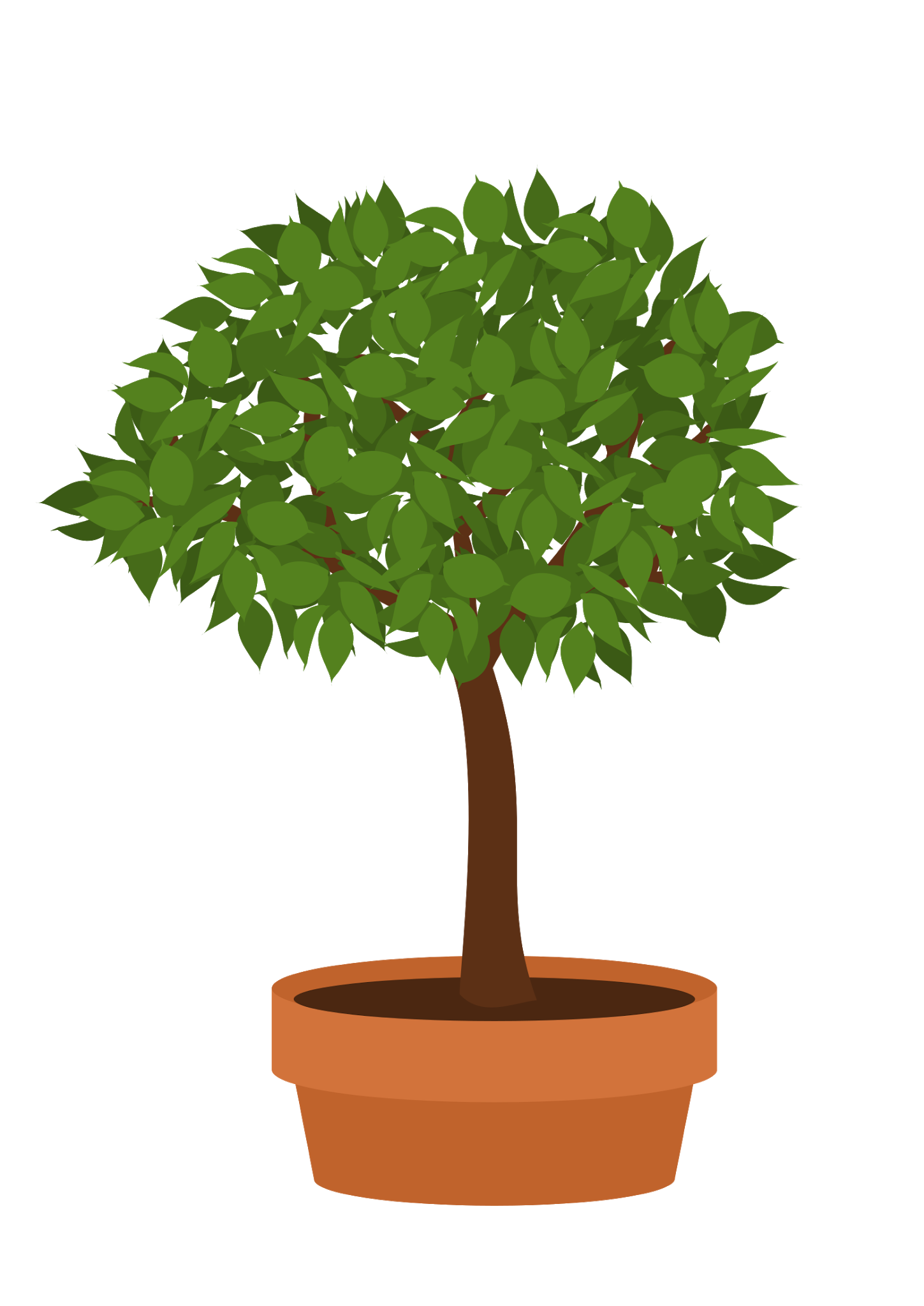 Inkscape Tutorial Bonsai Elm