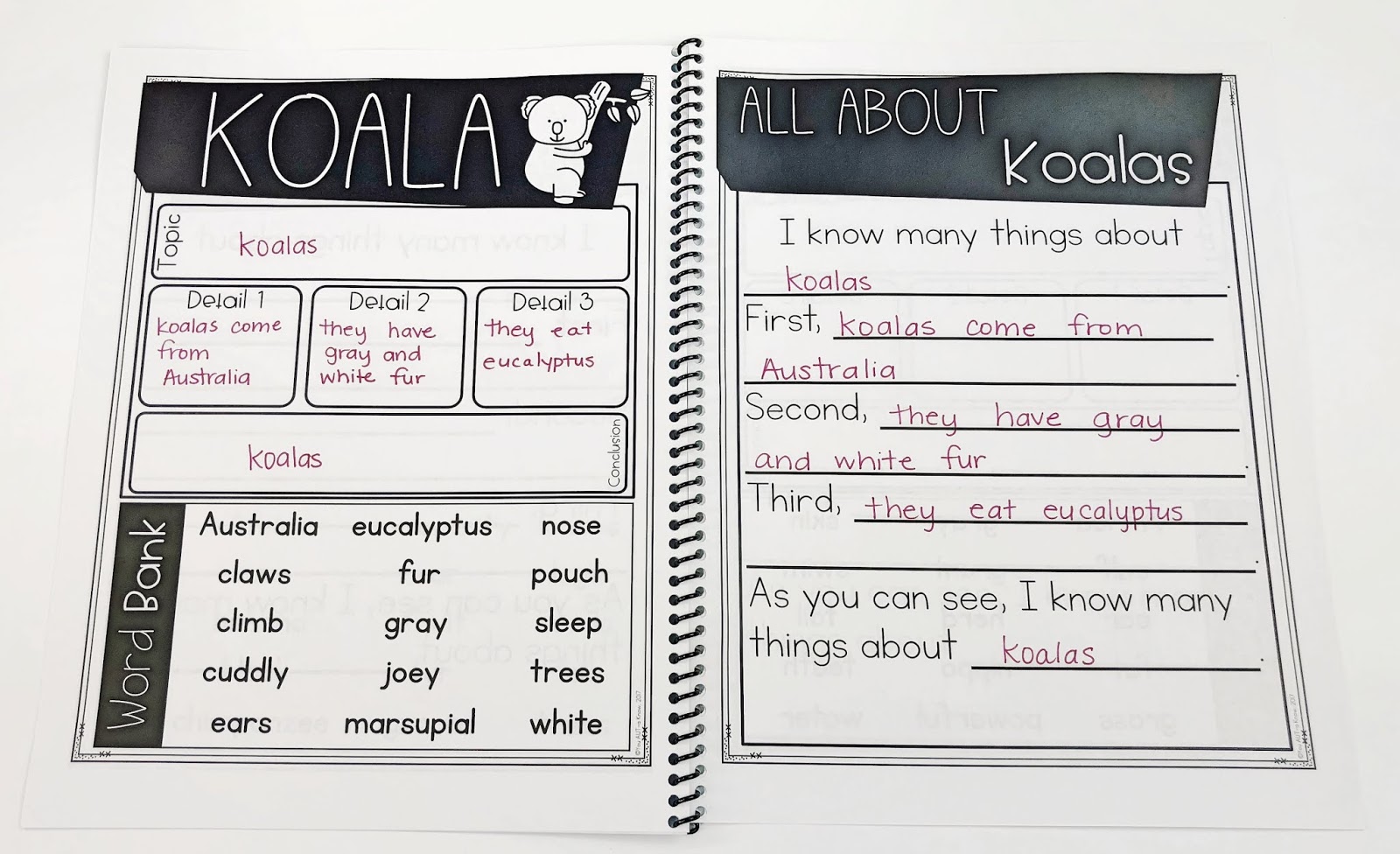 How to Scaffold Paragraph Writing for Special Education You AutA Know