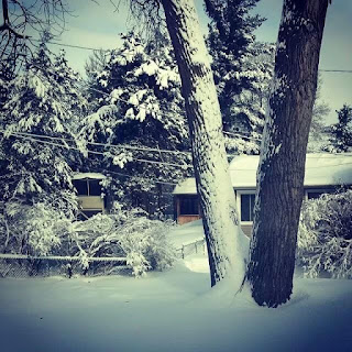 Graham Sedam, blog, thoughts, life, interests, winter, winter scene, trees, snow, house, bushes, new year, resolutions, New Year's, goals, motivation, focus, driver, tracking, trackability, entertainment