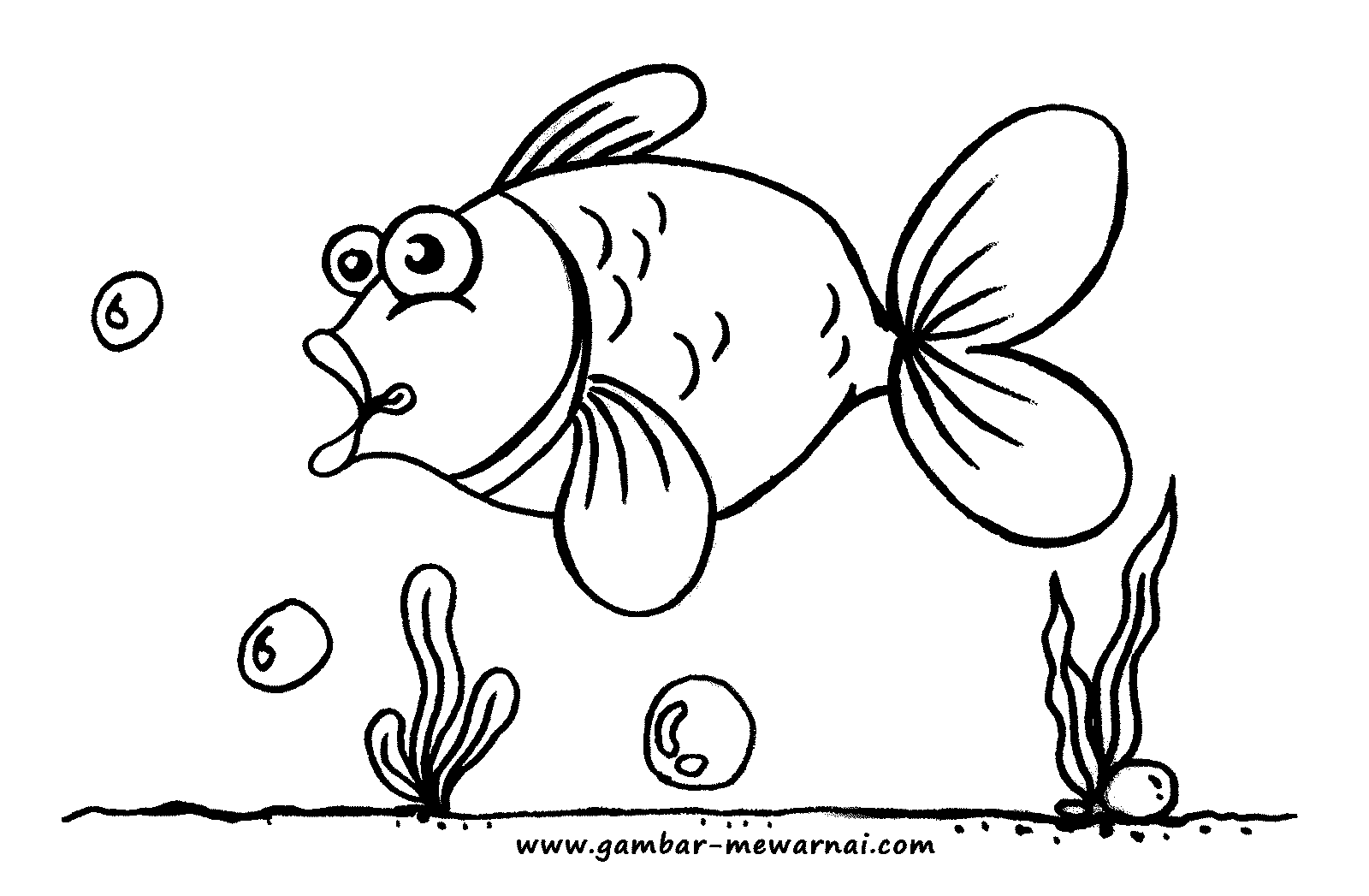 Gambar Ikan Kartun Mewarnai