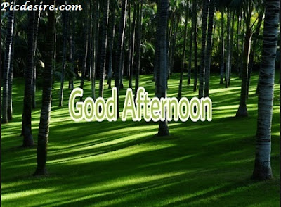 Best 50 Good Afternoon Images 2020 || Good Afternoon Images for Whatsapp Best 50 Good Afternoon Images 2020 || Good Afternoon Images for Whatsapp