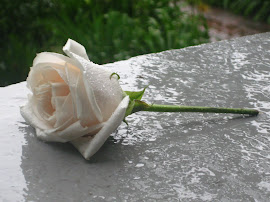 Rose from Museo del Castillo