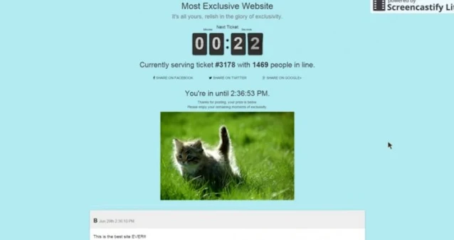 Most Exclusive Website gatos