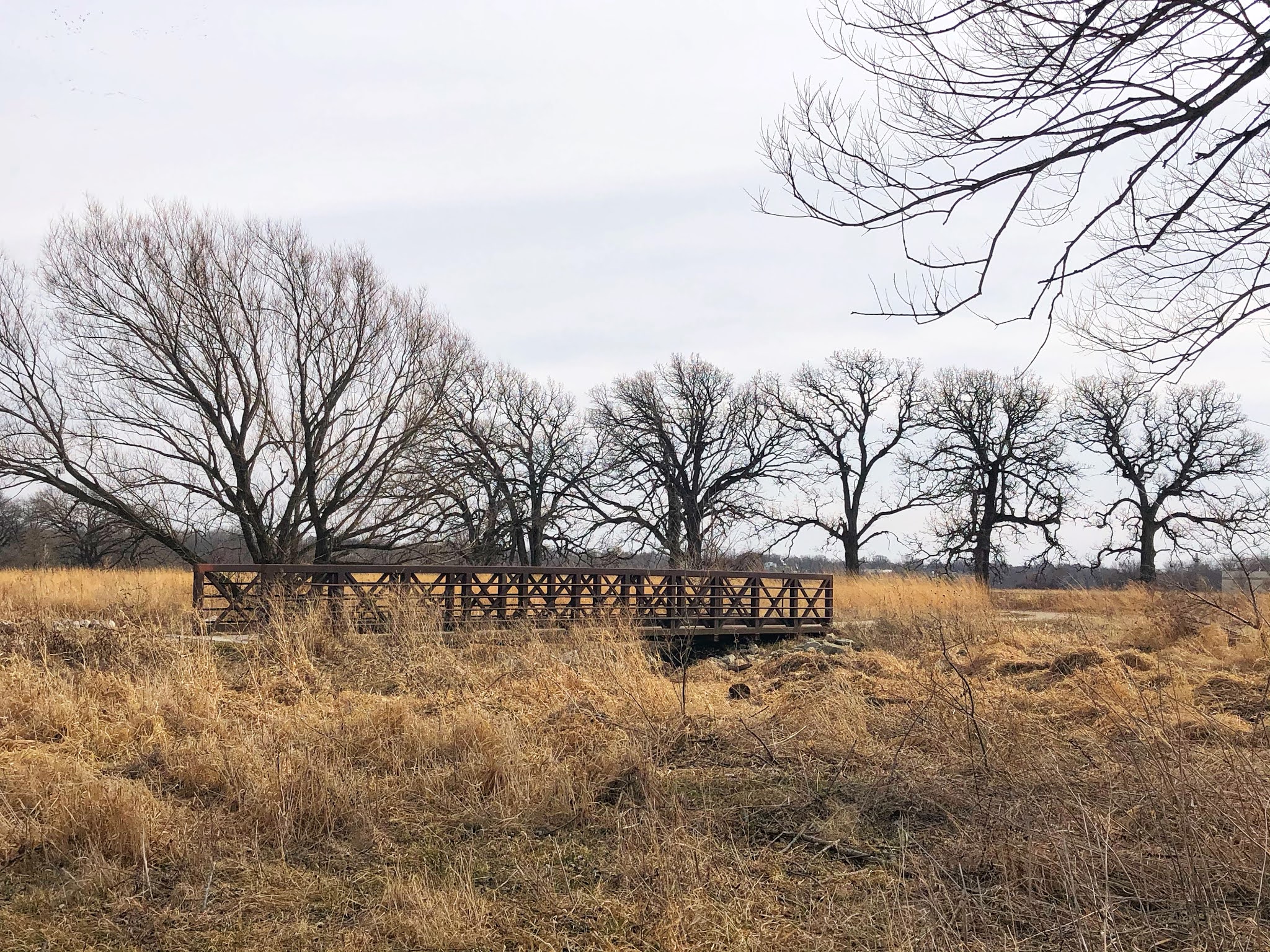 Brunner Family Forest Preserve Illinois