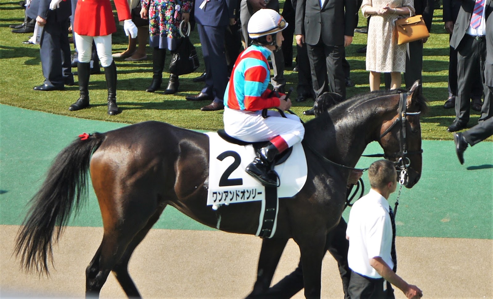 ホテル好き 今度はどこ泊まる 旅行ブログ 本日 日本ダービー 14年は現地観戦