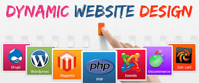www.zinavo.com