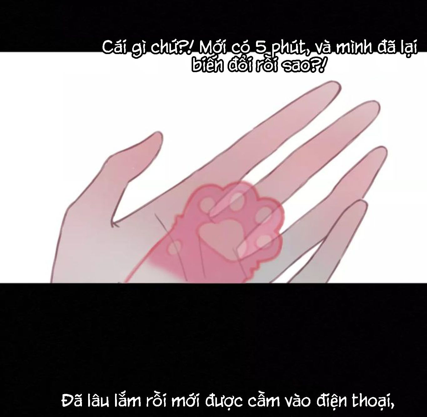 Đọc truyện Thế giới của một chú mèo - Chapter 6