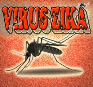 Fakta Penting Di Balik Virus Zika Berdasarkan Laporan WHO