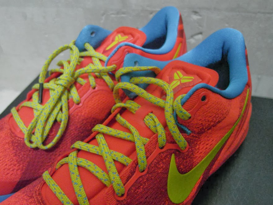 year of the horse kobe