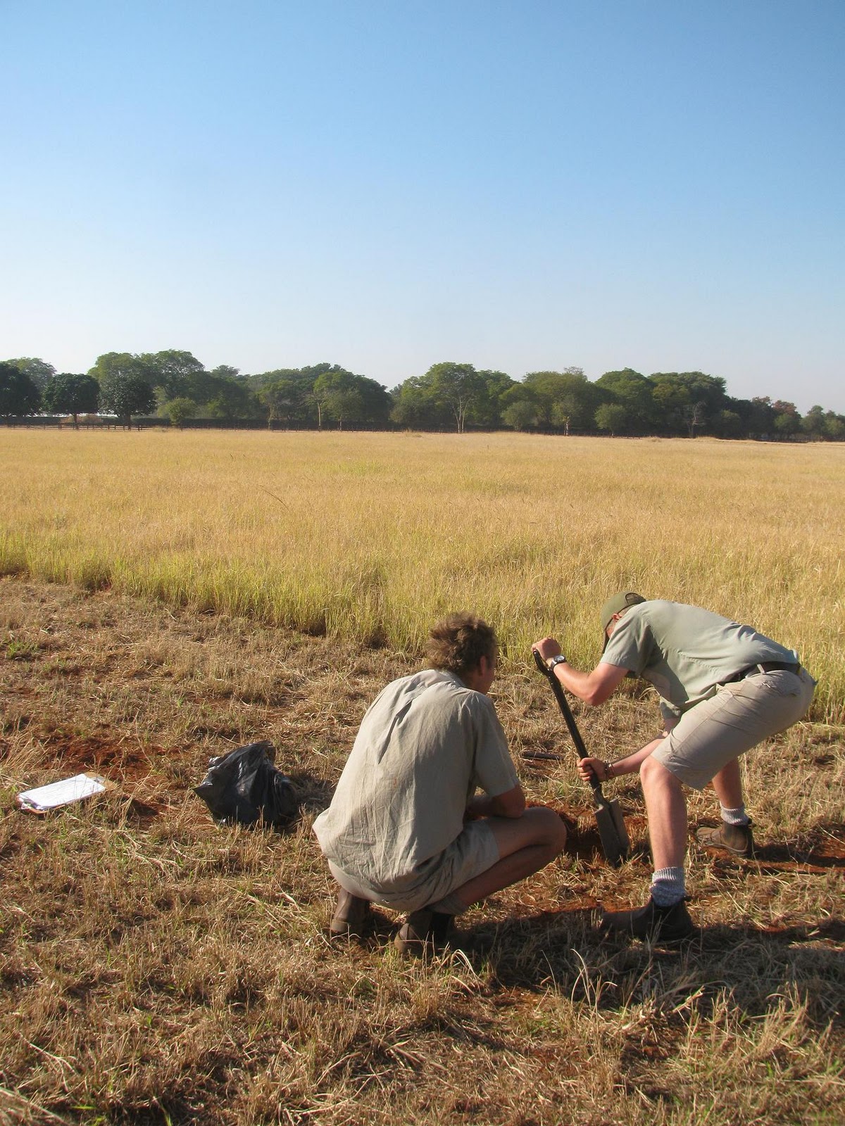 Johan Conservation and Hospitality @ sondela: Collect field specimens