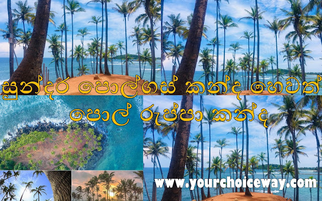 සුන්දර පොල්ගස් කන්ද හෙවත් පොල් රුප්පා කන්ද 🌴🌴🌊 (Coconut Tree Hill) - Your Choice Way