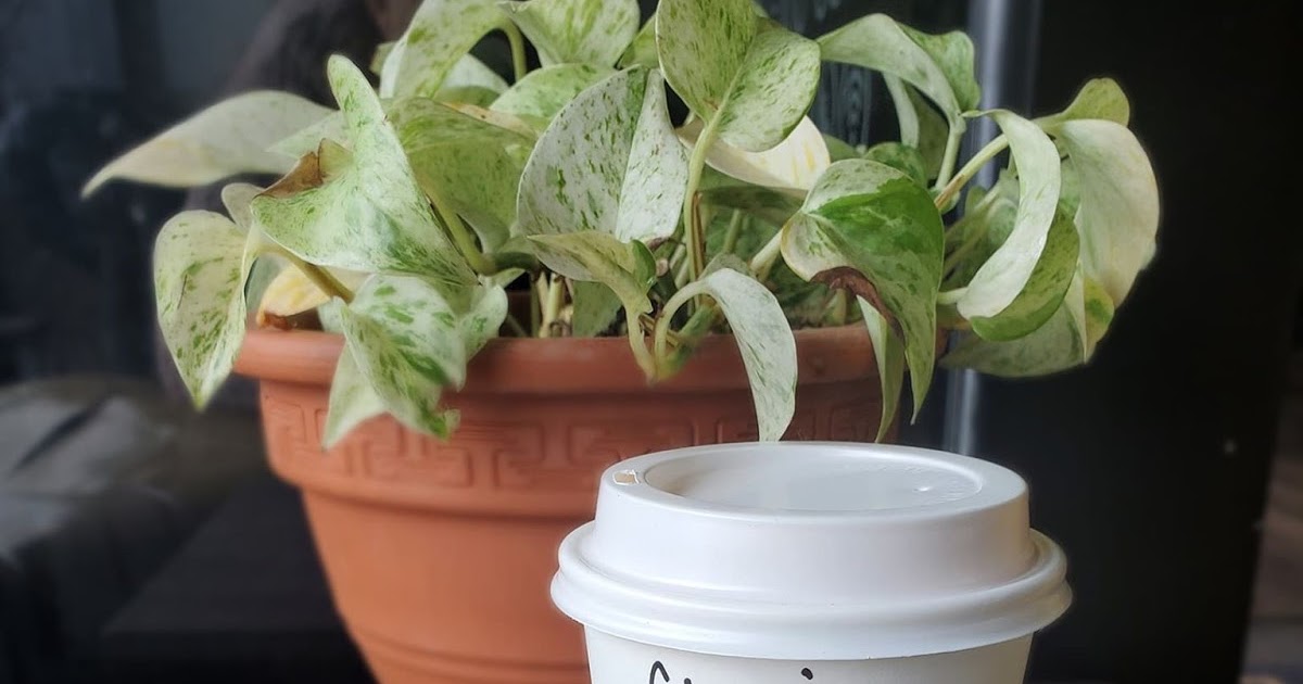 Getting My Makeup Professionally Done