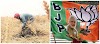पंजाब के किसानों का BJP के ख़िलाफ़ खुला वार!अब यूपी बिहार के मजदूरों को समझा रहे हैं भाजपा को वोट मत देना