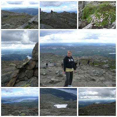 %25C3%2585reskutan - Åre sommaren 2011