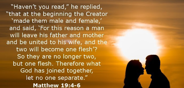    “Haven’t you read,” he replied, “that at the beginning the Creator ‘made them male and female,’ and said, ‘For this reason a man will leave his father and mother and be united to his wife, and the two will become one flesh’? So they are no longer two, but one flesh. Therefore what God has joined together, let no one separate.” 