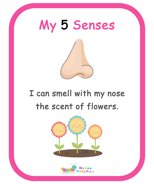 My Body for kids - My Five Senses