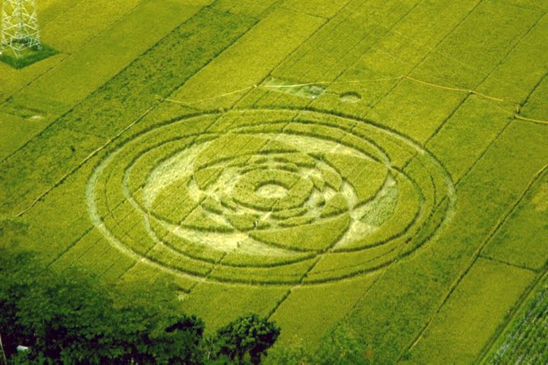 10 Crop Circle Di Indonesia Buku Tahu