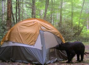 graveyard fields camping