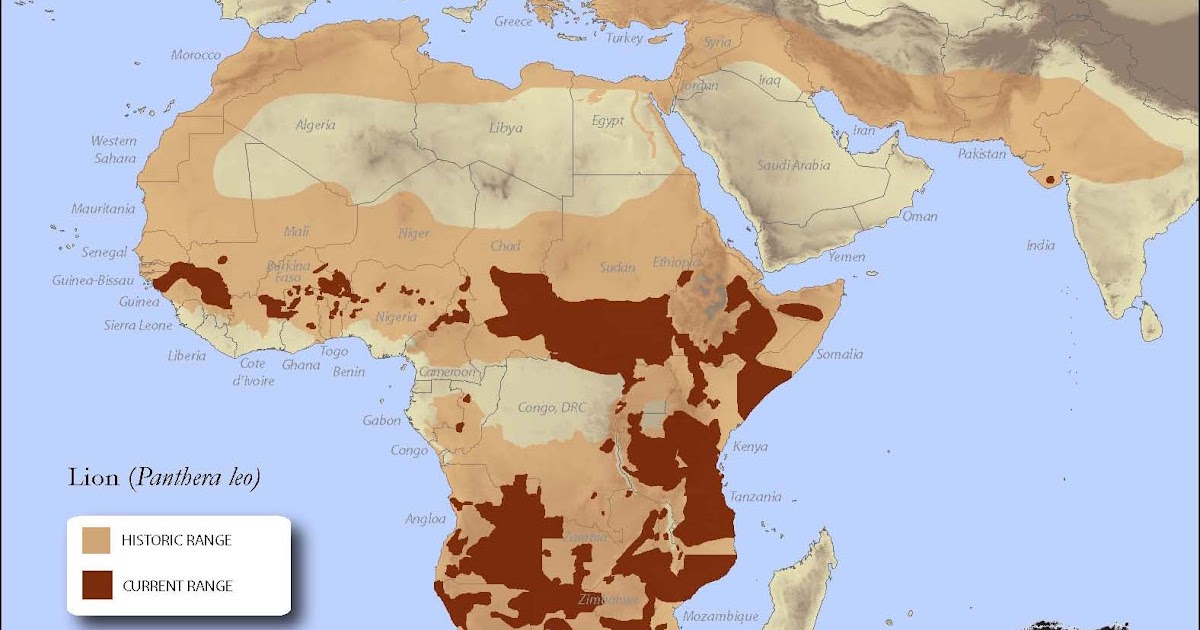 GIS Research and Map Collection Maps of Lion Habitats Available from