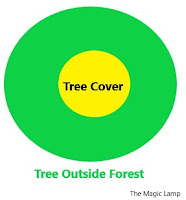 Tree%2Boutside%2BForest